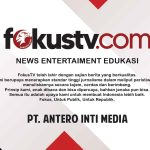 fokus tv