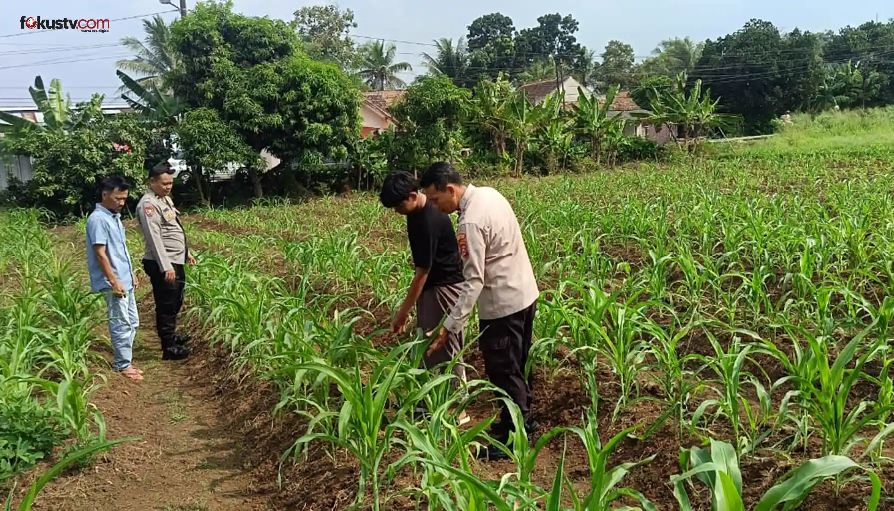Polsek Baros Dukung Pertanian Lokal lewat Sambang ke Kelompok Tani
