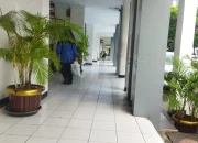 Pemkot Cilegon Sewa Pot Rp64 Juta agar Kantor Tak Kalah Hijau dari Halaman Rumah Warga