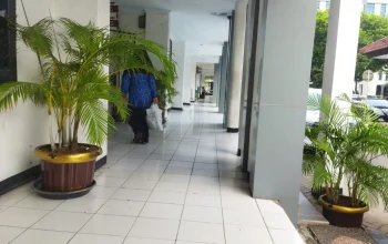 Pemkot Cilegon Sewa Pot Rp64 Juta agar Kantor Bisa Lebih Hijau daripada Harapan Warga