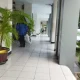 Pemkot Cilegon Sewa Pot Rp64 Juta agar Kantor Bisa Lebih Hijau daripada Harapan Warga