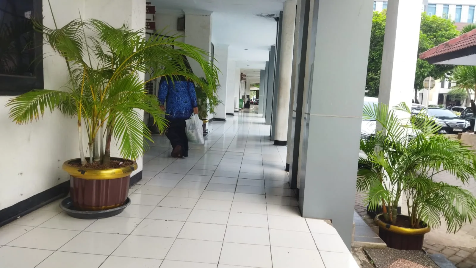 Pemkot Cilegon Sewa Pot Rp64 Juta agar Kantor Bisa Lebih Hijau daripada Harapan Warga