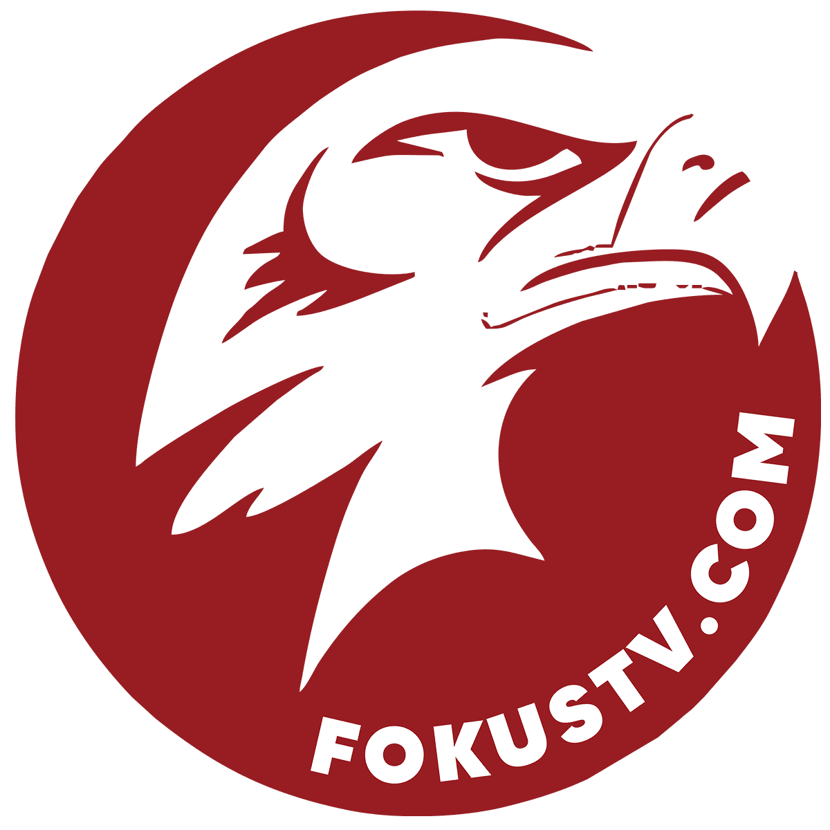 logo fokus tv